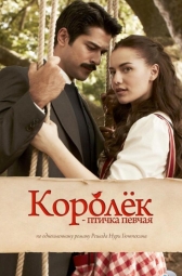 Королёк – птичка певчая